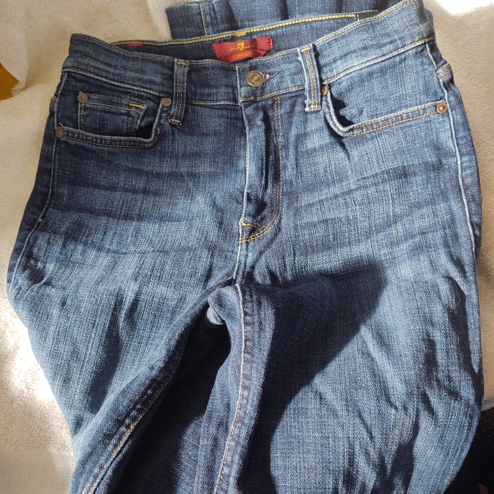 🚨7 For All Mankind jeans ginger size 27 (T9)